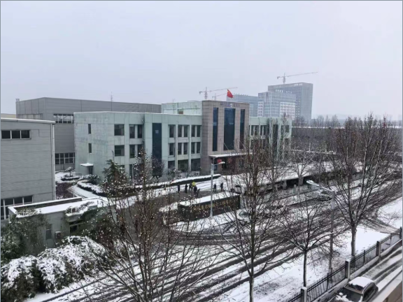 除雪保通畅，实干迎马年